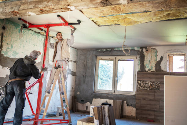 Best Insulation for New Construction  in Amory, MS